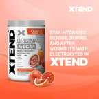 Scivation Xtend BCAA