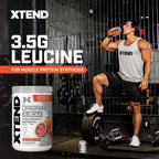 Scivation Xtend BCAA
