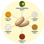 GAT SPORT Testrol Gold Es, Capsule